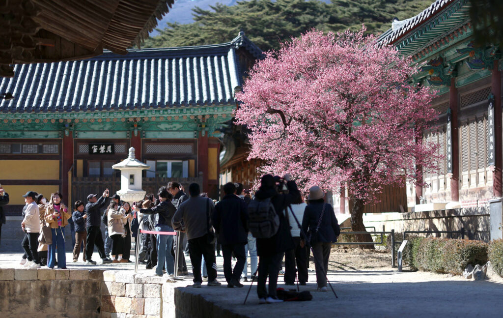 Sleep in a Temple Near Busan for the BTS Concert